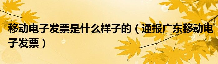 移动电子发票是什么样子的(通报广东移动电子发票)