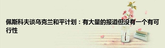 佩斯科夫谈乌克兰和平计划:有大量的报道但没有一个有可行性