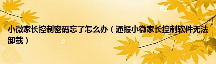 小微家长控制密码忘了怎么办(通报小微家长控制软件无法卸载)