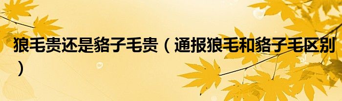 狼毛贵还是貉子毛贵(通报狼毛和貉子毛区别)