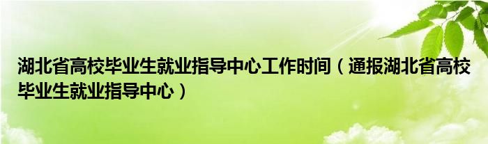 湖北省高校毕业生就业指导中心工作时间(通报湖北省高校毕业生就业指导中心)