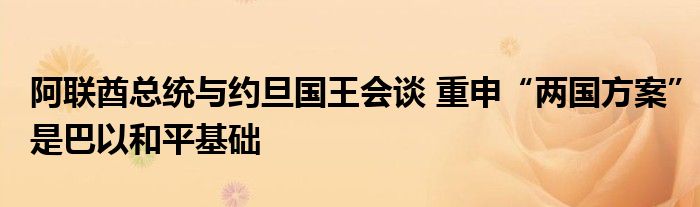 阿联酋总统与约旦国王会谈 重申“两国方案”是巴以和平基础