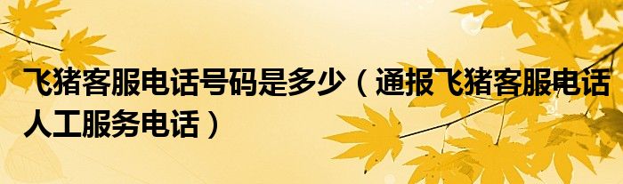 飞猪客服电话号码是多少(通报飞猪客服电话人工服务电话)