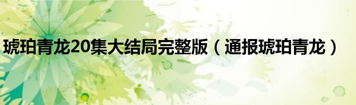 琥珀青龙20集大结局完整版(通报琥珀青龙)