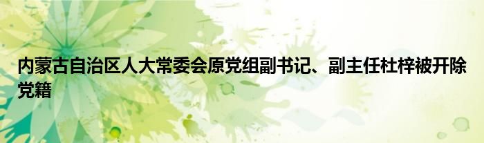 内蒙古自治区人大常委会原党组副书记、副主任杜梓被开除党籍