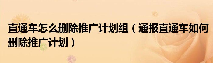 直通车怎么删除推广计划组(通报直通车如何删除推广计划)