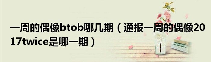 一周的偶像btob哪几期(通报一周的偶像2017twice是哪一期)