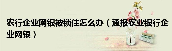农行企业网银被锁住怎么办(通报农业银行企业网银)