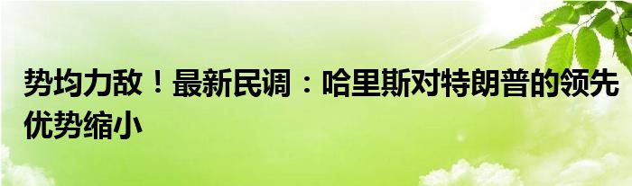 势均力敌!最新民调:哈里斯对特朗普的领先优势缩小