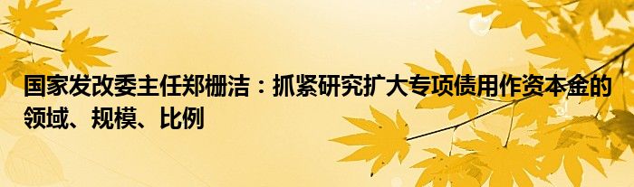国家发改委主任郑栅洁:抓紧研究扩大专项债用作资本金的领域、规模、比例