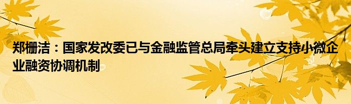 郑栅洁:国家发改委已与金融监管总局牵头建立支持小微企业融资协调机制