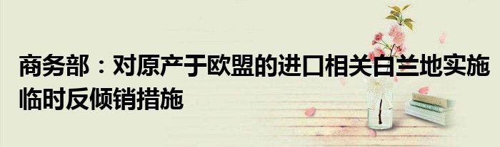 商务部:对原产于欧盟的进口相关白兰地实施临时反倾销措施