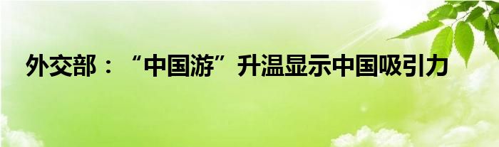 外交部:“中国游”升温显示中国吸引力
