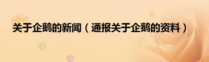 关于企鹅的新闻(通报关于企鹅的资料)