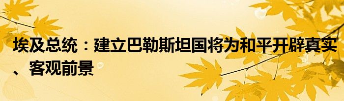 埃及总统:建立巴勒斯坦国将为和平开辟真实、客观前景