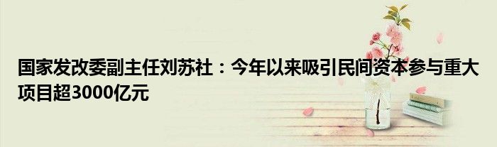 国家发改委副主任刘苏社:今年以来吸引民间资本参与重大项目超3000亿元