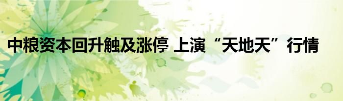 中粮资本回升触及涨停 上演“天地天”行情