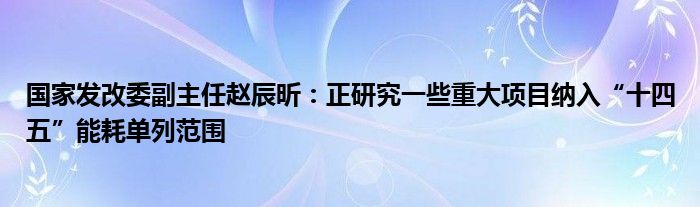 国家发改委副主任赵辰昕:正研究一些重大项目纳入“十四五”能耗单列范围