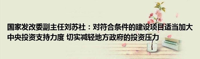 国家发改委副主任刘苏社：对符合条件的建设项目适当加大中央投资支持力度 切实减轻地方政府的投资压力