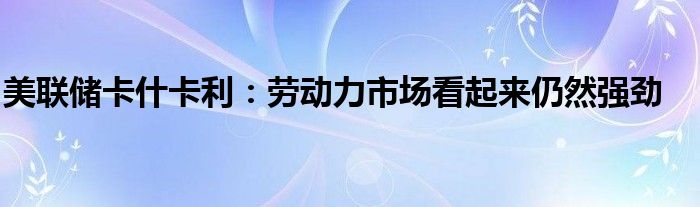 美联储卡什卡利:劳动力市场看起来仍然强劲