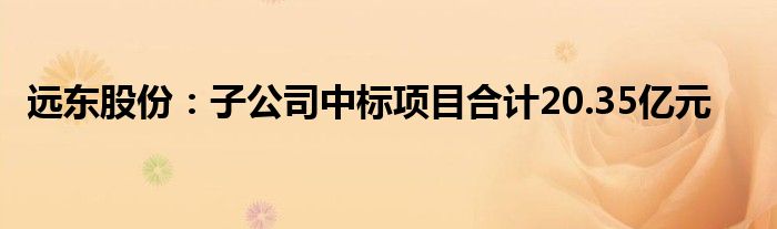 远东股份:子公司中标项目合计20.35亿元