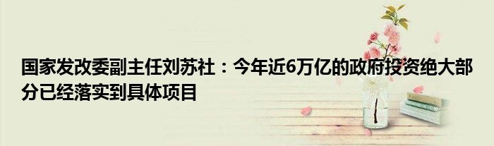 国家发改委副主任刘苏社:今年近6万亿的政府投资绝大部分已经落实到具体项目