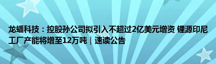 龙蟠科技:控股孙公司拟引入不超过2亿美元增资 锂源印尼工厂产能将增至12万吨|速读公告