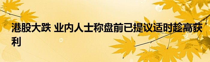 港股大跌 业内人士称盘前已提议适时趁高获利