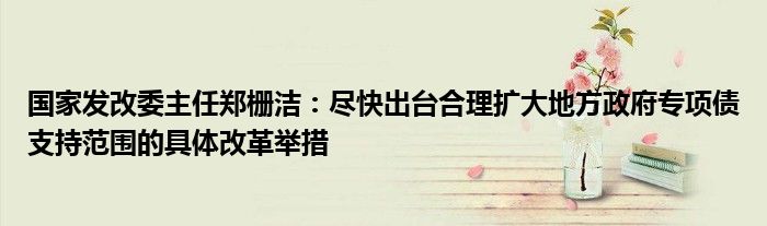 国家发改委主任郑栅洁:尽快出台合理扩大地方政府专项债支持范围的具体改革举措