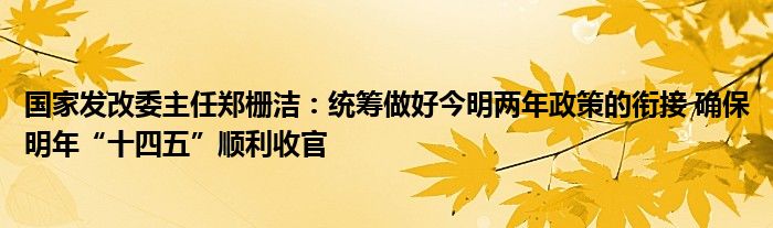 国家发改委主任郑栅洁:统筹做好今明两年政策的衔接 确保明年“十四五”顺利收官