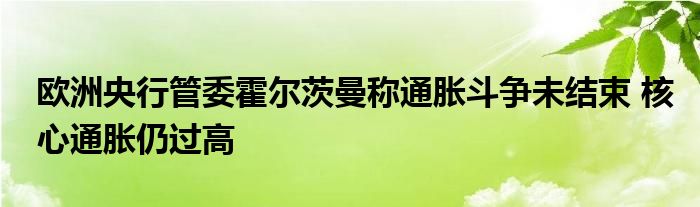 欧洲央行管委霍尔茨曼称通胀斗争未结束 核心通胀仍过高