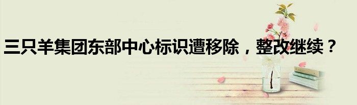三只羊集团东部中心标识遭移除,整改继续?