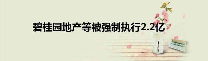 碧桂园地产等被强制执行2.2亿