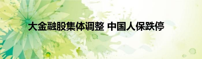 大金融股集体调整 中国人保跌停
