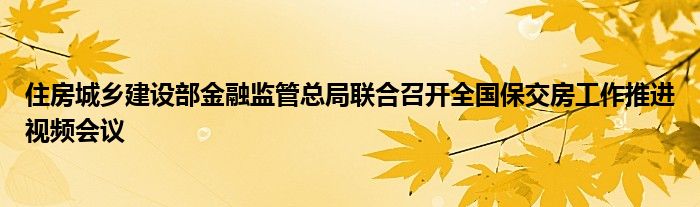 住房城乡建设部金融监管总局联合召开全国保交房工作推进视频会议