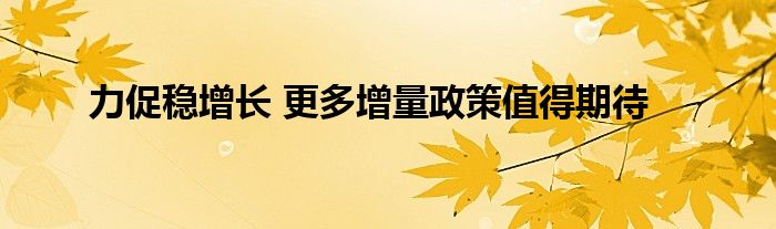 力促稳增长 更多增量政策值得期待