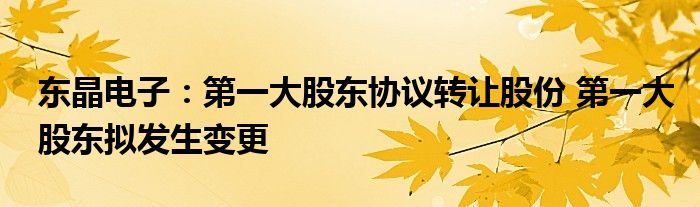东晶电子:第一大股东协议转让股份 第一大股东拟发生变更