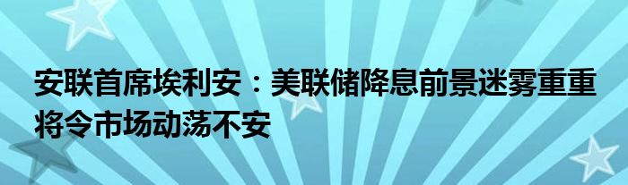 安联首席埃利安:美联储降息前景迷雾重重 将令市场动荡不安