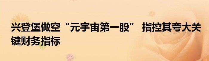 兴登堡做空“元宇宙第一股” 指控其夸大关键财务指标
