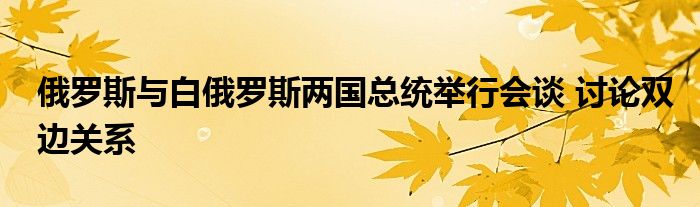 俄罗斯与白俄罗斯两国总统举行会谈 讨论双边关系