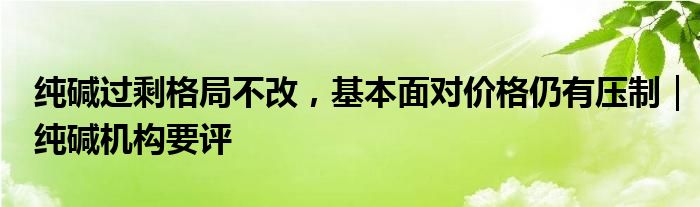 纯碱过剩格局不改,基本面对价格仍有压制|纯碱机构要评