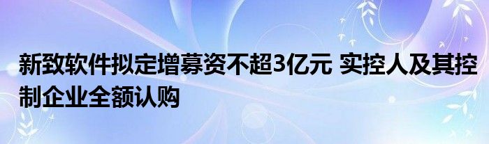 新致软件拟定增募资不超3亿元 实控人及其控制企业全额认购