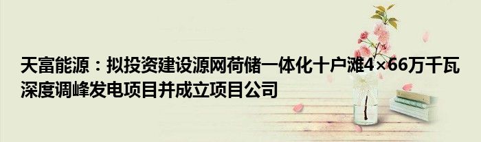 天富能源:拟投资建设源网荷储一体化十户滩4×66万千瓦深度调峰发电项目并成立项目公司