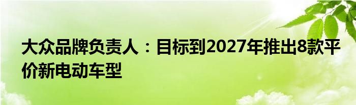 大众品牌负责人:目标到2027年推出8款平价新电动车型