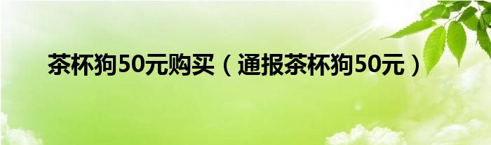 茶杯狗50元购买(通报茶杯狗50元)