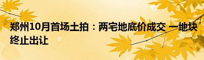 郑州10月首场土拍:两宅地底价成交 一地块终止出让