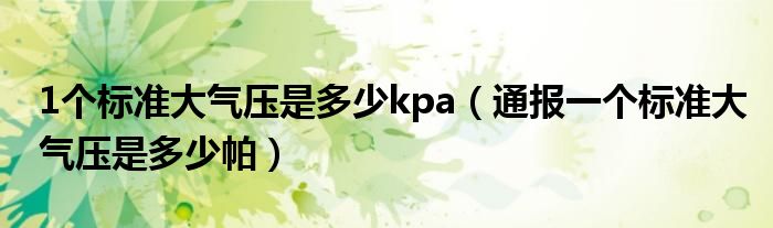 1个标准大气压是多少kpa(通报一个标准大气压是多少帕)