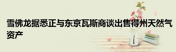 雪佛龙据悉正与东京瓦斯商谈出售得州天然气资产