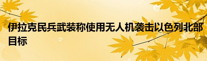 伊拉克民兵武装称使用无人机袭击以色列北部目标