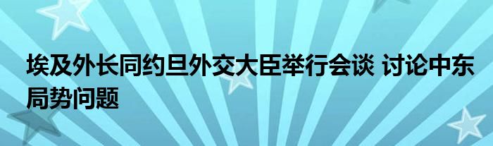 埃及外长同约旦外交大臣举行会谈 讨论中东局势问题